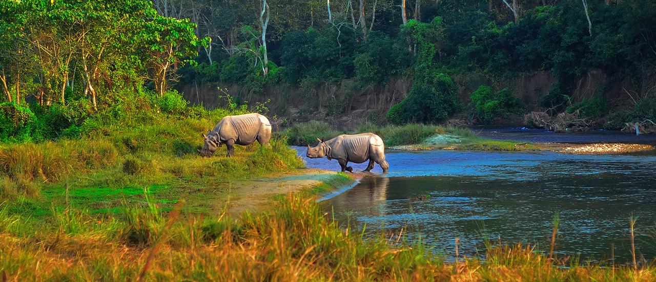 Chitwan
